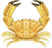 Crab08
