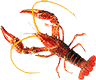 Crayfish02