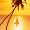 Sunset Sailing Avatar 100x100 82334