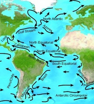 Atlantic_Ocean_Currents.jpg