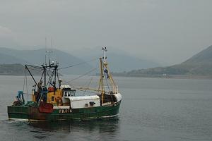 Click image for larger version

Name:	800px_Fishing_Trawler.jpg
Views:	30
Size:	79.4 KB
ID:	177