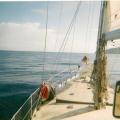 Still sailing in the vicinity of Grenada!